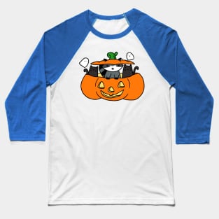 Halloween Black Cats and Raccoon Baseball T-Shirt